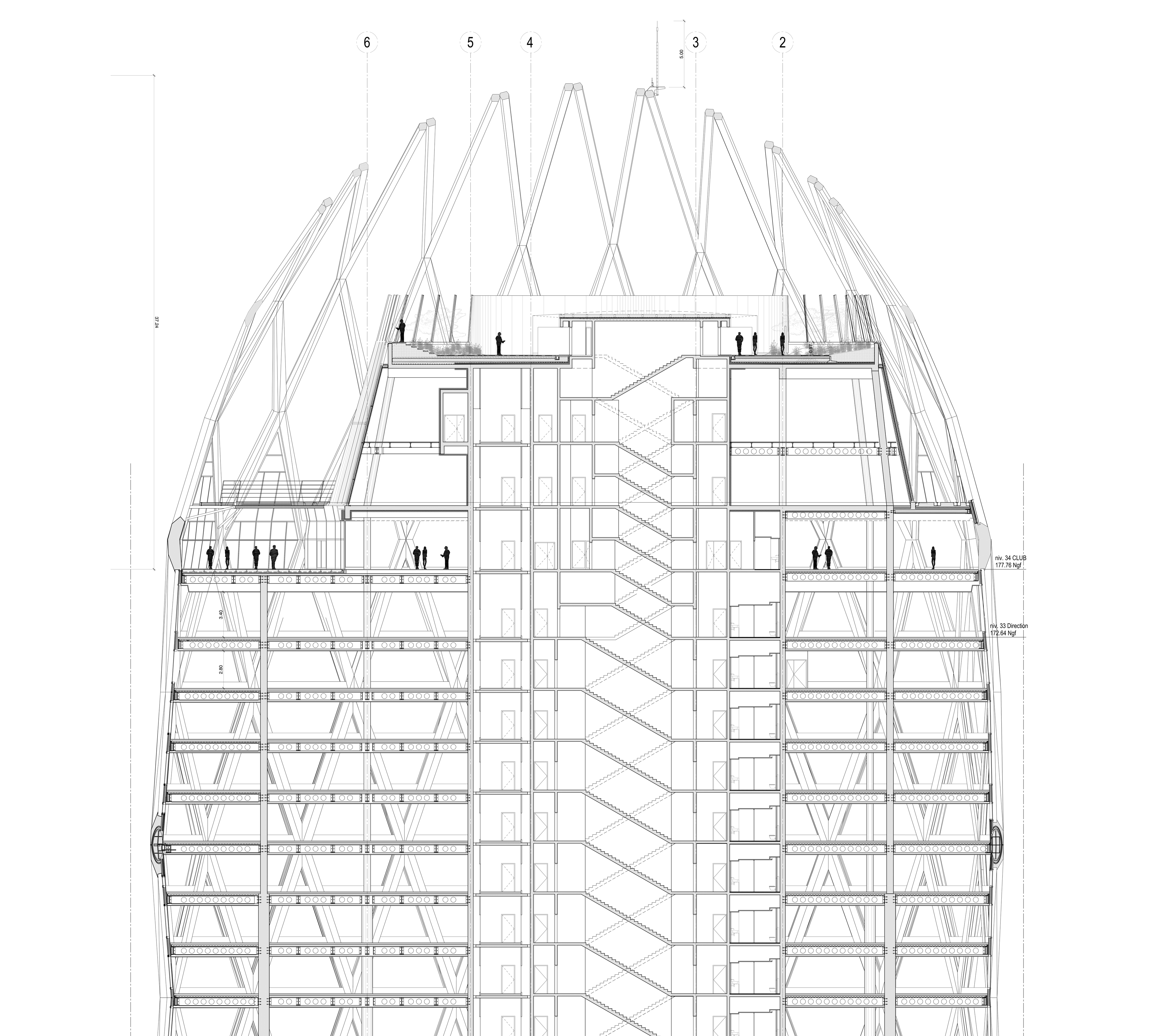 COIFFE-100